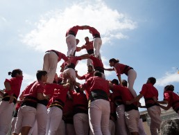 Liderando en complejidad